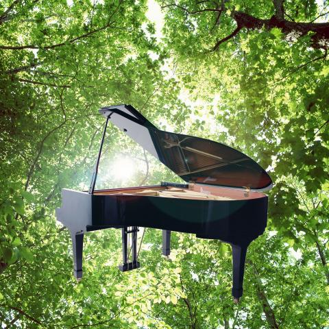 Sunshine and Piano